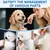 HausPets Kit Ciseaux Toilettage Chien Chat 5 en 1 Acier Inoxydable Sûr HausPets Kit Ciseaux Toilettage Chien Chat 5 en 1 Acier Inoxydable Sûr