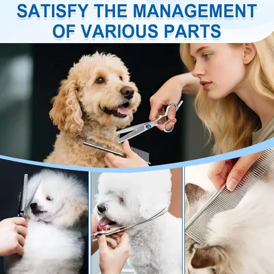 HausPets Kit Ciseaux Toilettage Chien Chat 5 en 1 Acier Inoxydable Sûr HausPets Kit Ciseaux Toilettage Chien Chat 5 en 1 Acier Inoxydable Sûr