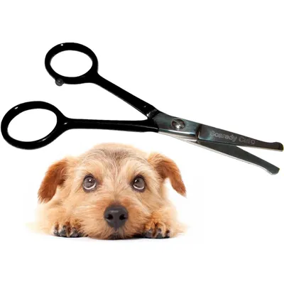 HausPets Ciseaux Toilettage Silencieux Chien Chat Oreilles Pattes 11cm HausPets Ciseaux Toilettage Silencieux Chien Chat Oreilles Pattes 11cm