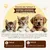 HausPets Cama plegable 2 en 1 gatos/perros, manta suave, 42x36 cm, lavable HausPets Cama plegable 2 en 1 gatos/perros, manta suave, 42x36 cm, lavable