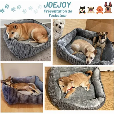 HausPets Panier Chien Chat Lavable Antidérapant Coussin Doux 51x48x15cm