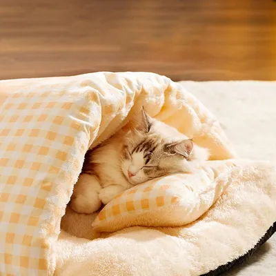 Sac de Couchage Chat Chien Nid Douillet Fermé Plaid Hiver 45x35cm