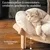 HausPets Lit Chat Design Pétale Bois Bouleau 55x55x32cm Gris