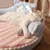 HausPets Lit Rond Chien Chat 52cm Peluche Doux Antidérapant Marron