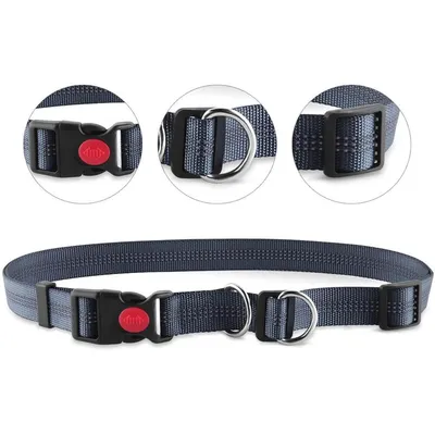 Laisse mains libres ceinture 70 130cm réfléchissante Laisse mains libres ceinture 70 130cm réfléchissante