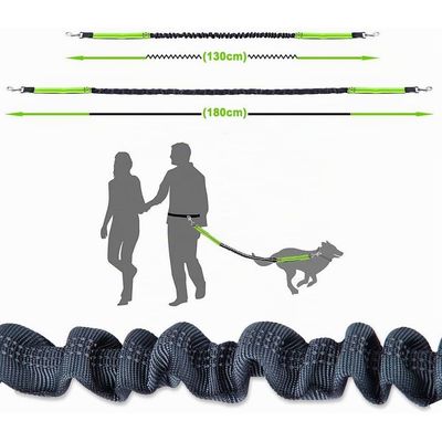 Laisse mains libres ceinture 70 130cm réfléchissante