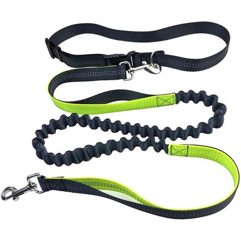 Laisse mains libres ceinture 70 130cm réfléchissante