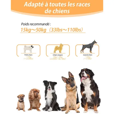 Harnais marche main libre 2 9m réfléchissant gris Harnais marche main libre 2 9m réfléchissant gris