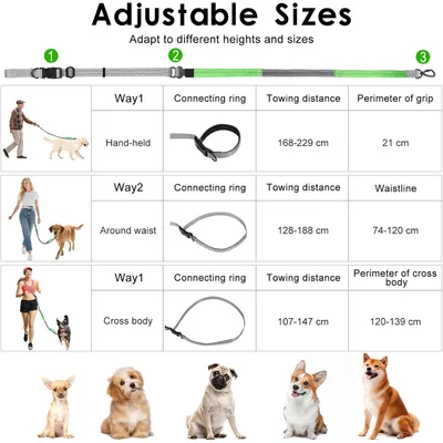 Laisse mains libres 2 5m extensible gris vert Laisse mains libres 2 5m extensible gris vert