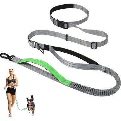 Laisse mains libres 2 5m extensible gris vert