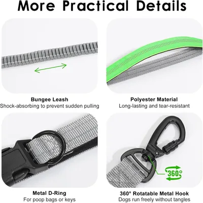 Laisse mains libres 2 5m extensible gris vert Laisse mains libres 2 5m extensible gris vert