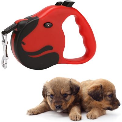 Laisse rétractable 5m 25kg rouge anti rayures