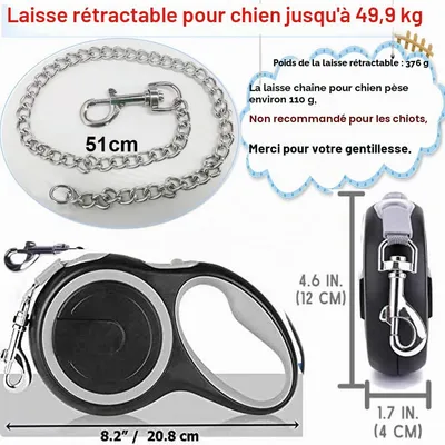 Laisse rétractable 5m anti morsure chaîne acier gris Laisse rétractable 5m anti morsure chaîne acier gris