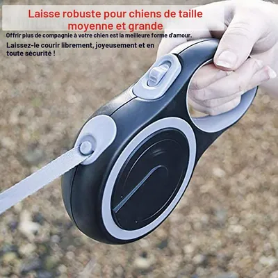 Laisse rétractable 5m anti morsure chaîne acier gris Laisse rétractable 5m anti morsure chaîne acier gris