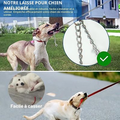 Laisse rétractable 5m anti morsure chaîne acier gris