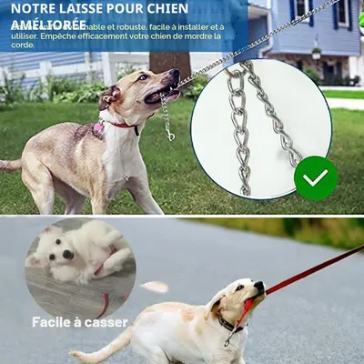 Laisse rétractable 5m anti morsure chaîne acier gris Laisse rétractable 5m anti morsure chaîne acier gris