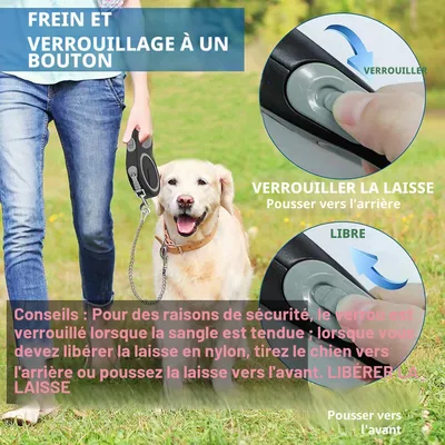 Laisse rétractable 5m anti morsure chaîne acier gris Laisse rétractable 5m anti morsure chaîne acier gris