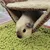 HausPets Hängematte Warm Hamster Maus Ratte Fleece Doppelte Schicht