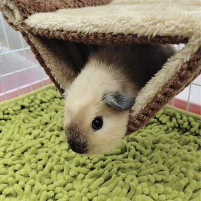 HausPets Hängematte Warm Hamster Maus Ratte Fleece Doppelte Schicht