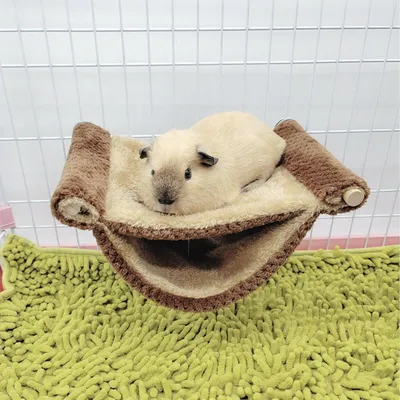 HausPets HausPets Suspendu Chaud Hamster Souris Rat Flanelle Double Couche HausPets HausPets Suspendu Chaud Hamster Souris Rat Flanelle Double Couche