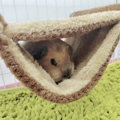 HausPets Hängematte Warm Hamster Maus Ratte Fleece Doppelte Schicht