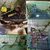 HausPets Jouets Forêt Hamster 5 Pièces HausPetss Balançoire Tunnel Corde HausPets Jouets Forêt Hamster 5 Pièces HausPetss Balançoire Tunnel Corde