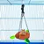 HausPets Jouets Forêt Hamster 5 Pièces HausPetss Balançoire Tunnel Corde HausPets Jouets Forêt Hamster 5 Pièces HausPetss Balançoire Tunnel Corde