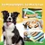 HausPets langes Hundespielzeug Quieker Knister 95cm HausPets langes Hundespielzeug Quieker Knister 95cm