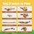 HausPets langes Hundespielzeug Quieker Knister 95cm HausPets langes Hundespielzeug Quieker Knister 95cm