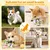 HausPets jouet chien chaussure peluche couineur cache friandise