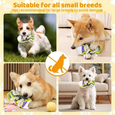HausPets jouet chien chaussure peluche couineur cache friandise