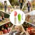 HausPets Gourde Silicone Chat Chien - Portable, Étanche, Voyage HausPets Gourde Silicone Chat Chien - Portable, Étanche, Voyage