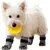 HausPets Calcetines transpirables antideslizantes para perros, 4 unidades
