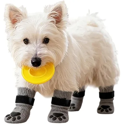 HausPets Calcetines transpirables antideslizantes para perros, 4 unidades