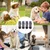 HausPets Calcetines transpirables antideslizantes para perros, 4 unidades