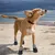 HausPets Juego de 4 botas perros impermeables, antideslizantes reflectantes