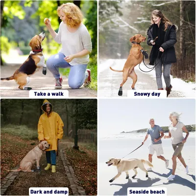 HausPets Juego de 4 botas perros impermeables, antideslizantes reflectantes