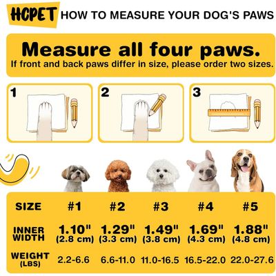 HausPets Chaussures Chien Antidérapantes Respirantes Réfléchissantes