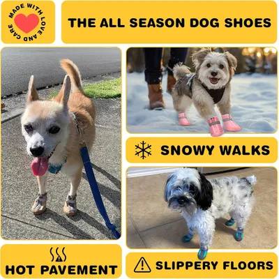 HausPets Zapatos para perros antideslizantes, transpirables y reflectantes