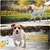 HausPets Zapatos para perros antideslizantes, transpirables y reflectantes