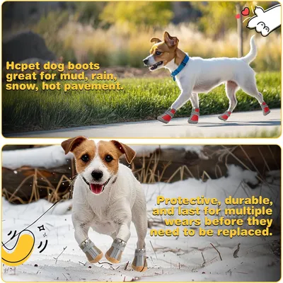 HausPets Zapatos para perros antideslizantes, transpirables y reflectantes