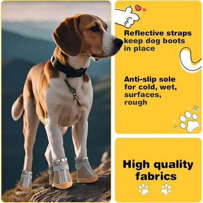 HausPets Chaussures Chien Antidérapantes Respirantes Réfléchissantes