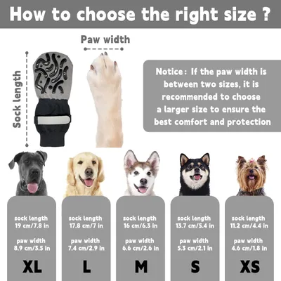HausPets Paquete 4 calcetines antideslizantes anti-lamido perros, talla XS