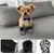 HausPets Paquete 4 calcetines antideslizantes anti-lamido perros, talla XS
