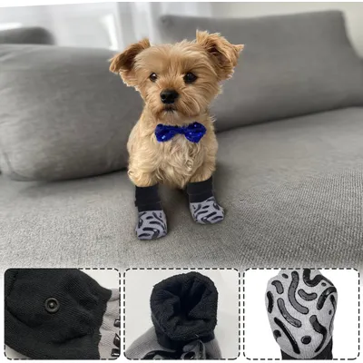 HausPets Paquete 4 calcetines antideslizantes anti-lamido perros, talla XS