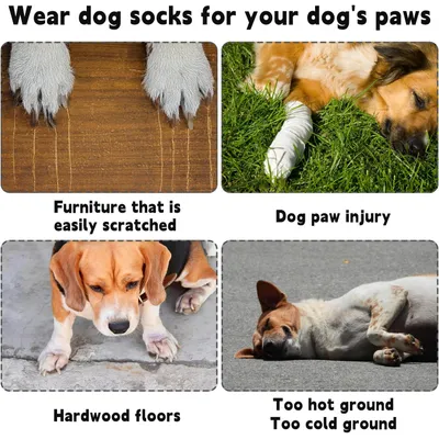 HausPets Paquete 4 calcetines antideslizantes anti-lamido perros, talla XS