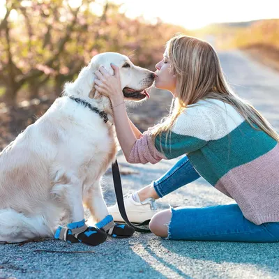 HausPets Juego de 4 botas reflectantes impermeables y ajustables perros