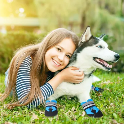 HausPets Juego de 4 botas reflectantes impermeables y ajustables perros