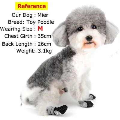 HausPets Botas para perros miniatura, verano, antideslizantes, reflectantes