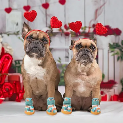 HausPets Juego de 4 zapatos de verano para perros suela goma antideslizante